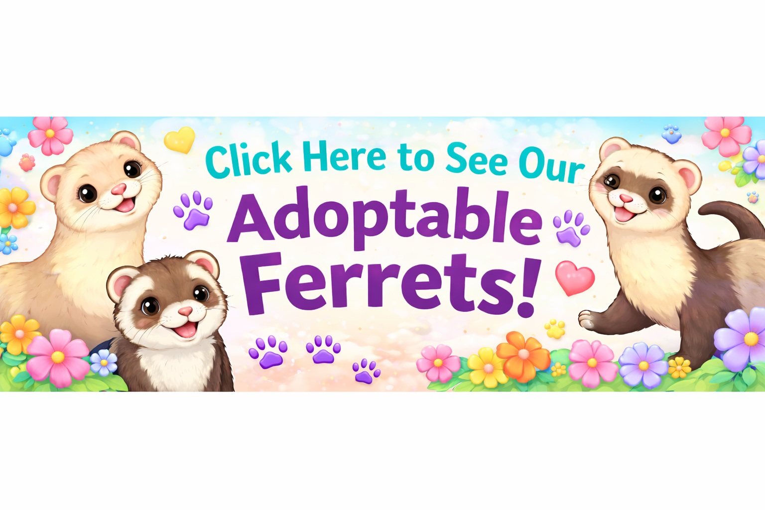 Click here to see our adoptable ferrets
